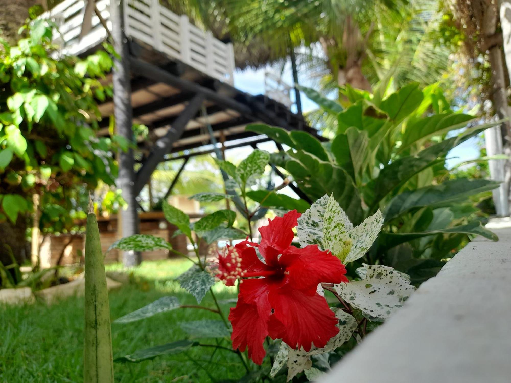 Vila Branca Canoa Canoa Quebrada Bagian luar foto